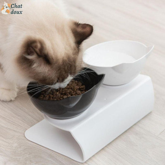Les bonnes pratiques pour nourrir un chat