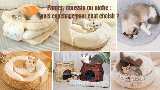 Panier, coussin ou niche : quel couchage pour chat choisir ?