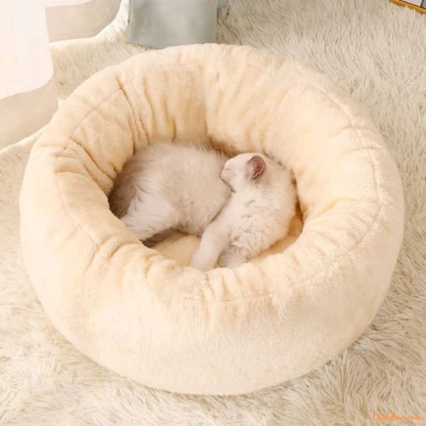 Coussin-chat-Dorych