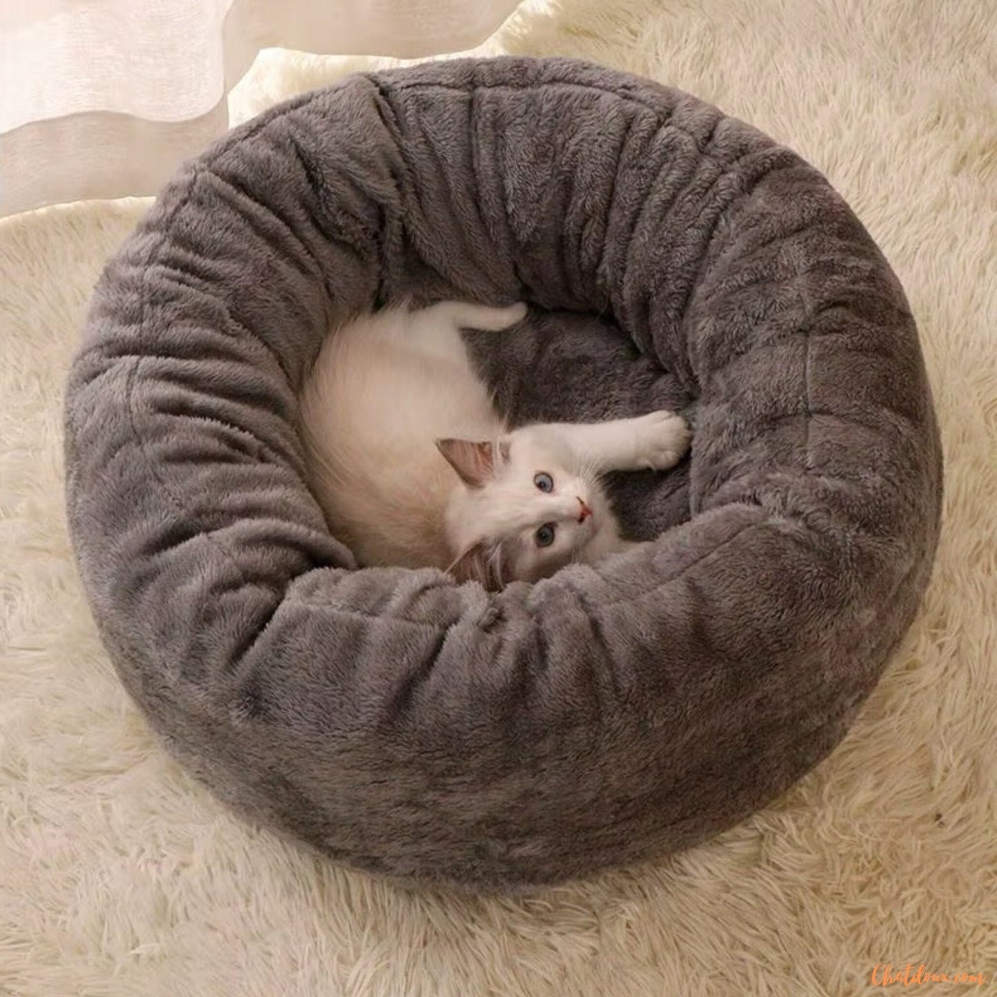 Coussin-chat-confortable-Dorych