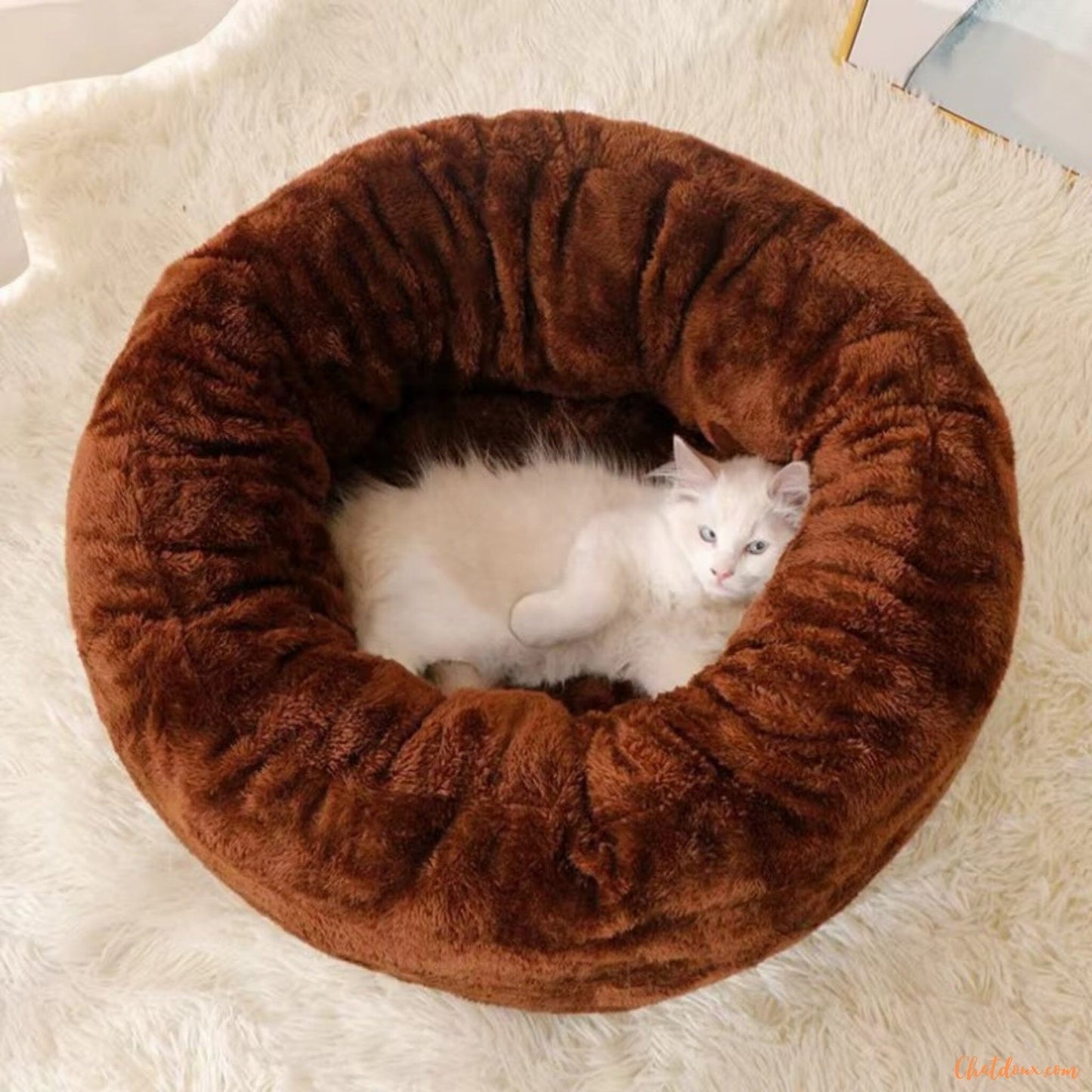 Coussin-chat-marron