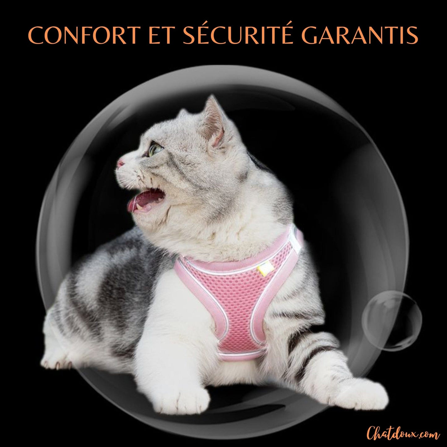 HARNAIS CHAT CONFORTABLE