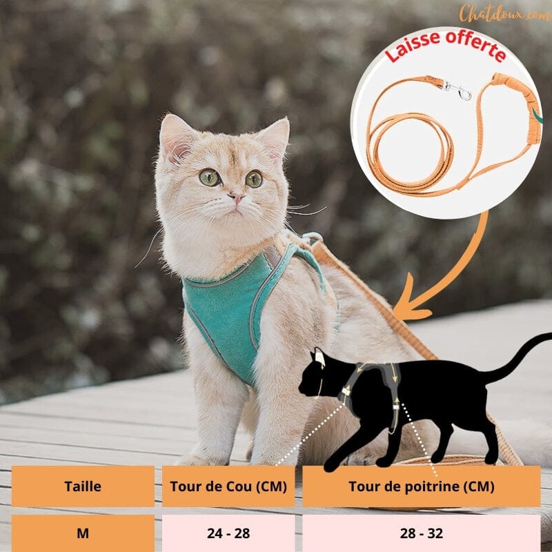 HARNAIS_POUR_CHAT_M