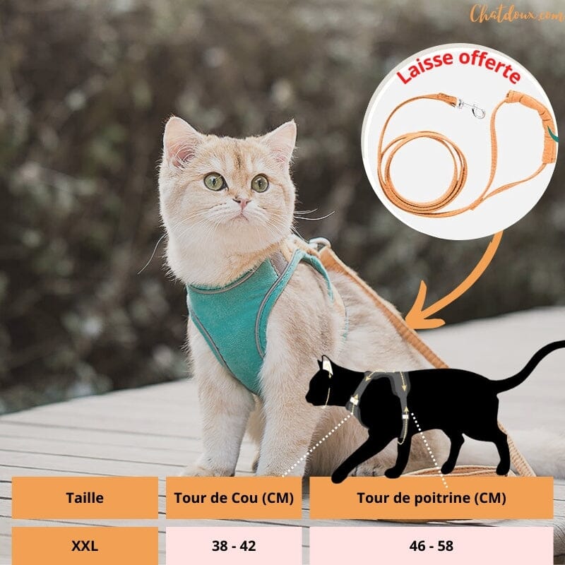 HARNAIS CHAT - HARNAIS CHAT VERTE ET ORANGE | FunyWalk™ chat doux