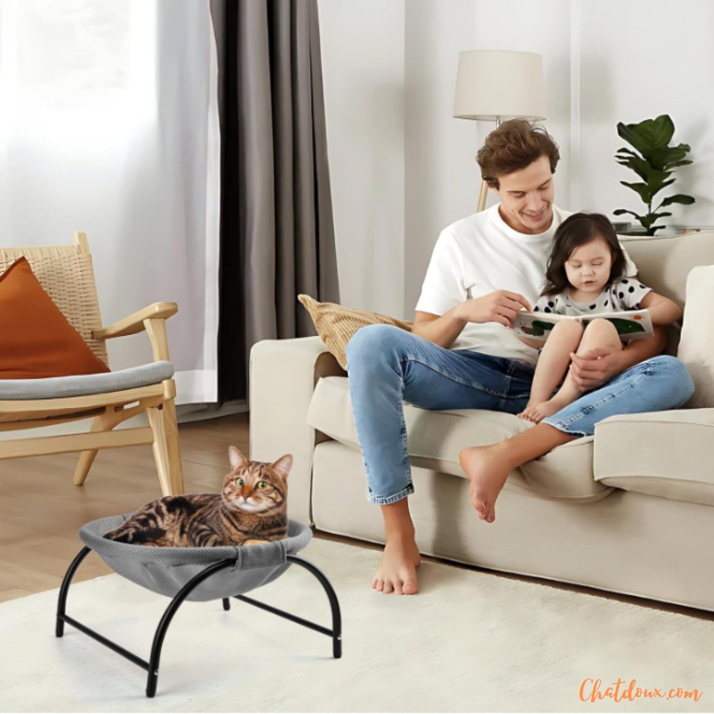 Hamac-pour-chat-au-salon-Hamdort
