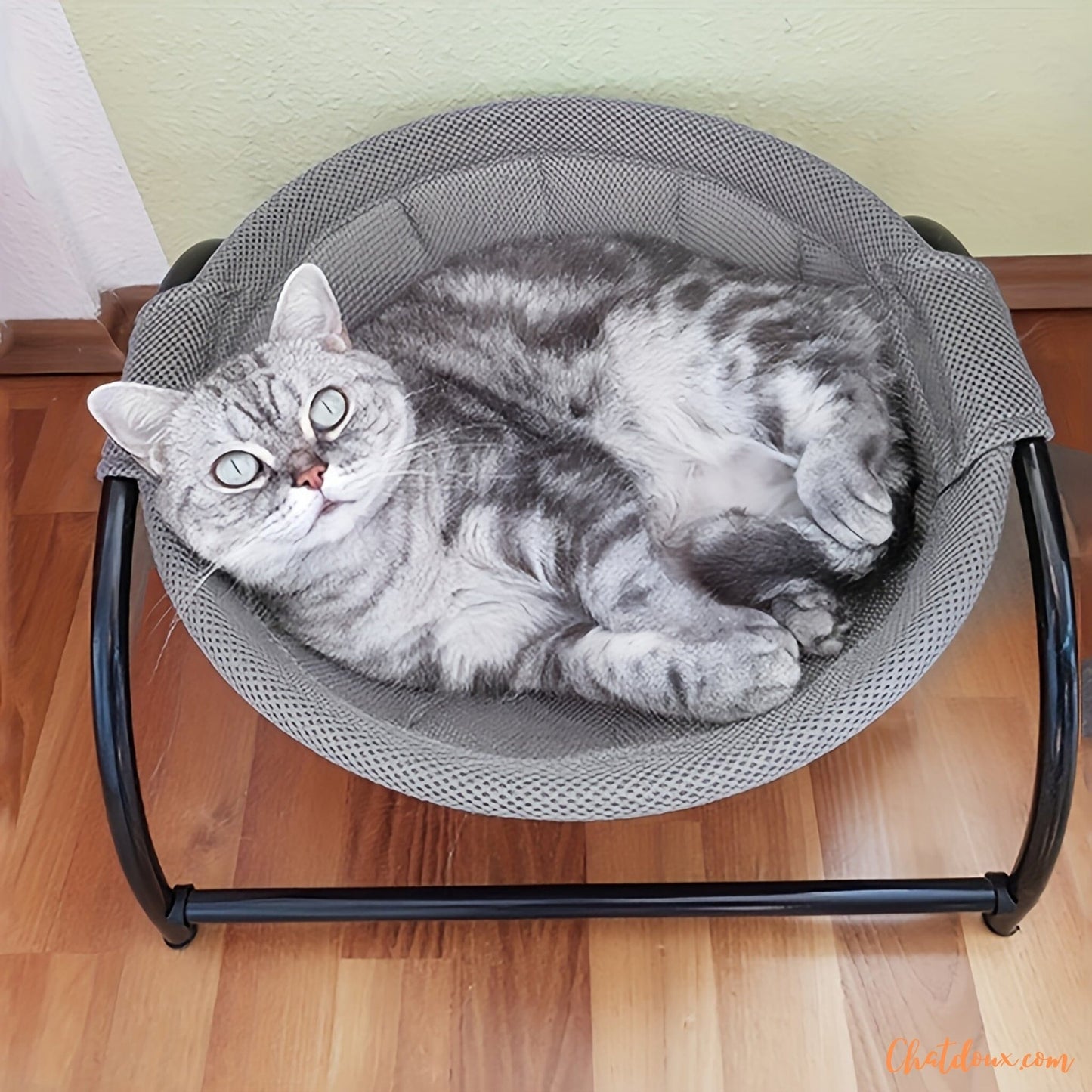 Hamac-pour-chat-mignon-Hamdort
