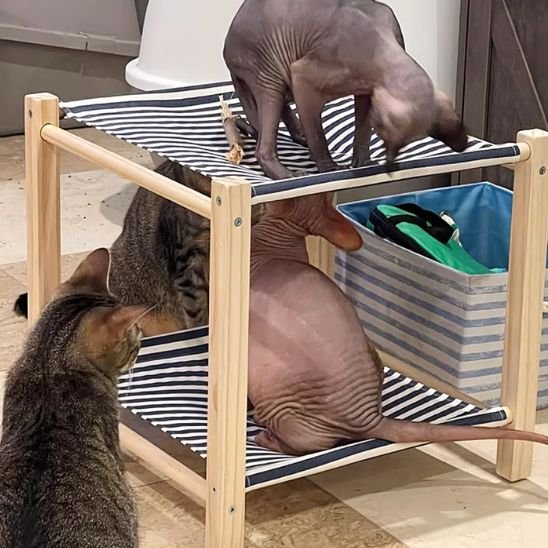 Hamac pour Chat - Hamac double niveau pour chat | CosyDuo chat doux