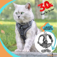 HARNAIS CHAT ANTI FUGUE | GRISY™ chat doux