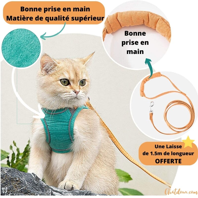 HARNAIS CHAT - HARNAIS CHAT VERTE ET ORANGE | FunyWalk™ chat doux