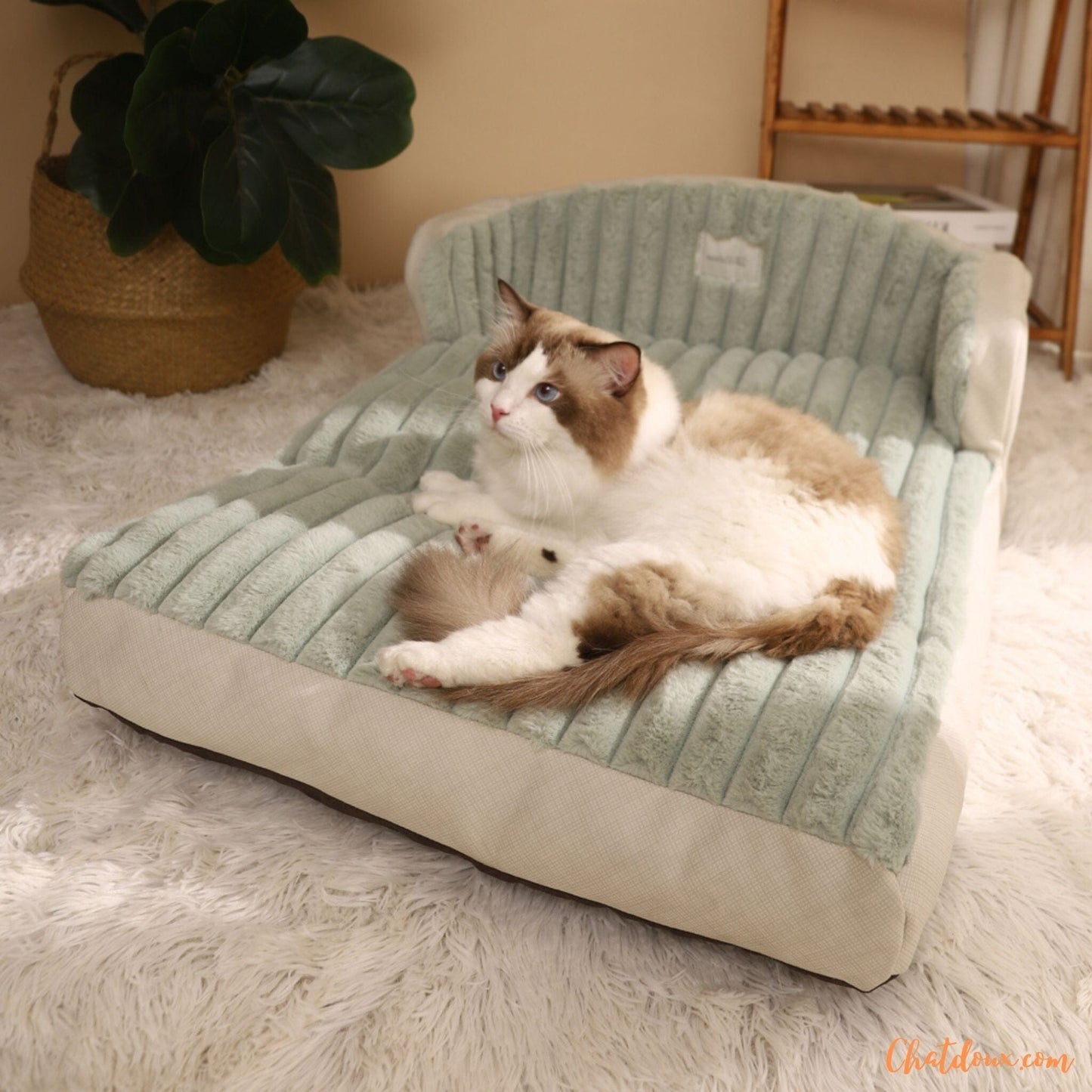 Lit pour chat | Moelit™ chat doux