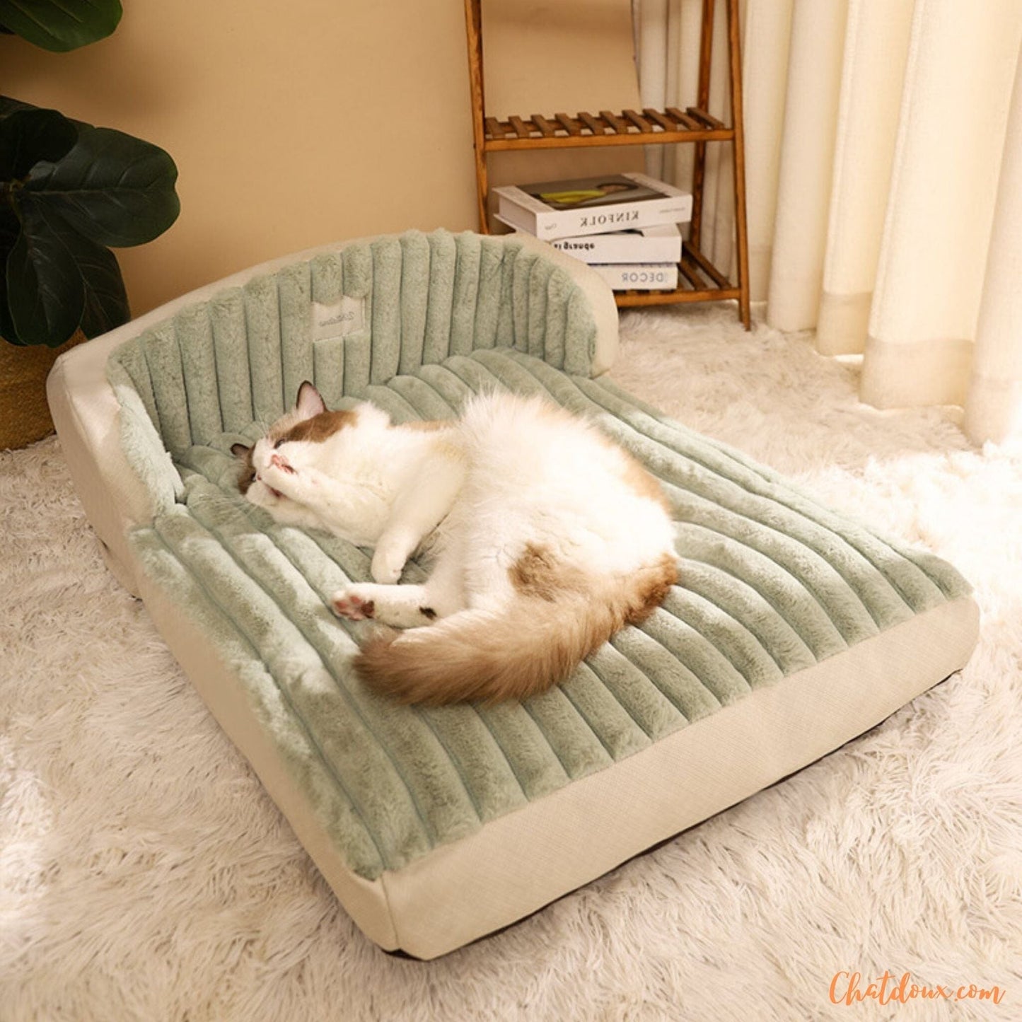 Lit pour chat | Moelit™ chat doux