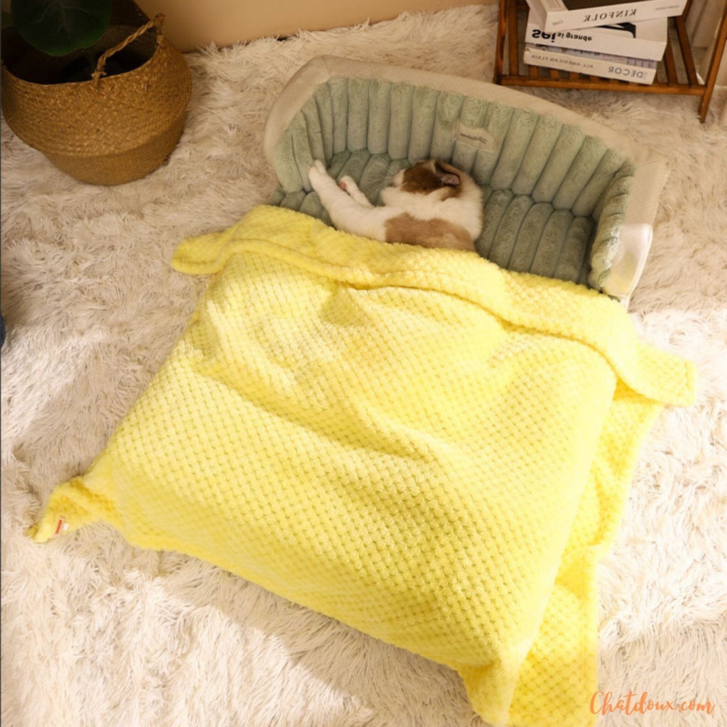 Lit pour chat | Moelit™ chat doux
