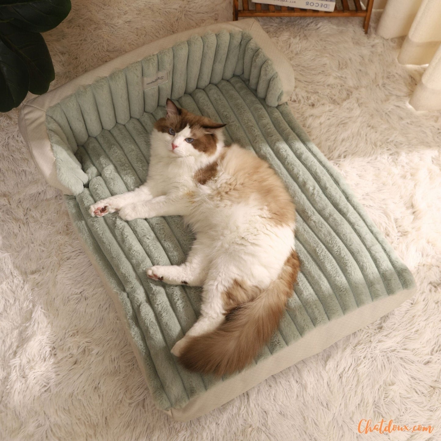 Lit pour chat | Moelit™ chat doux