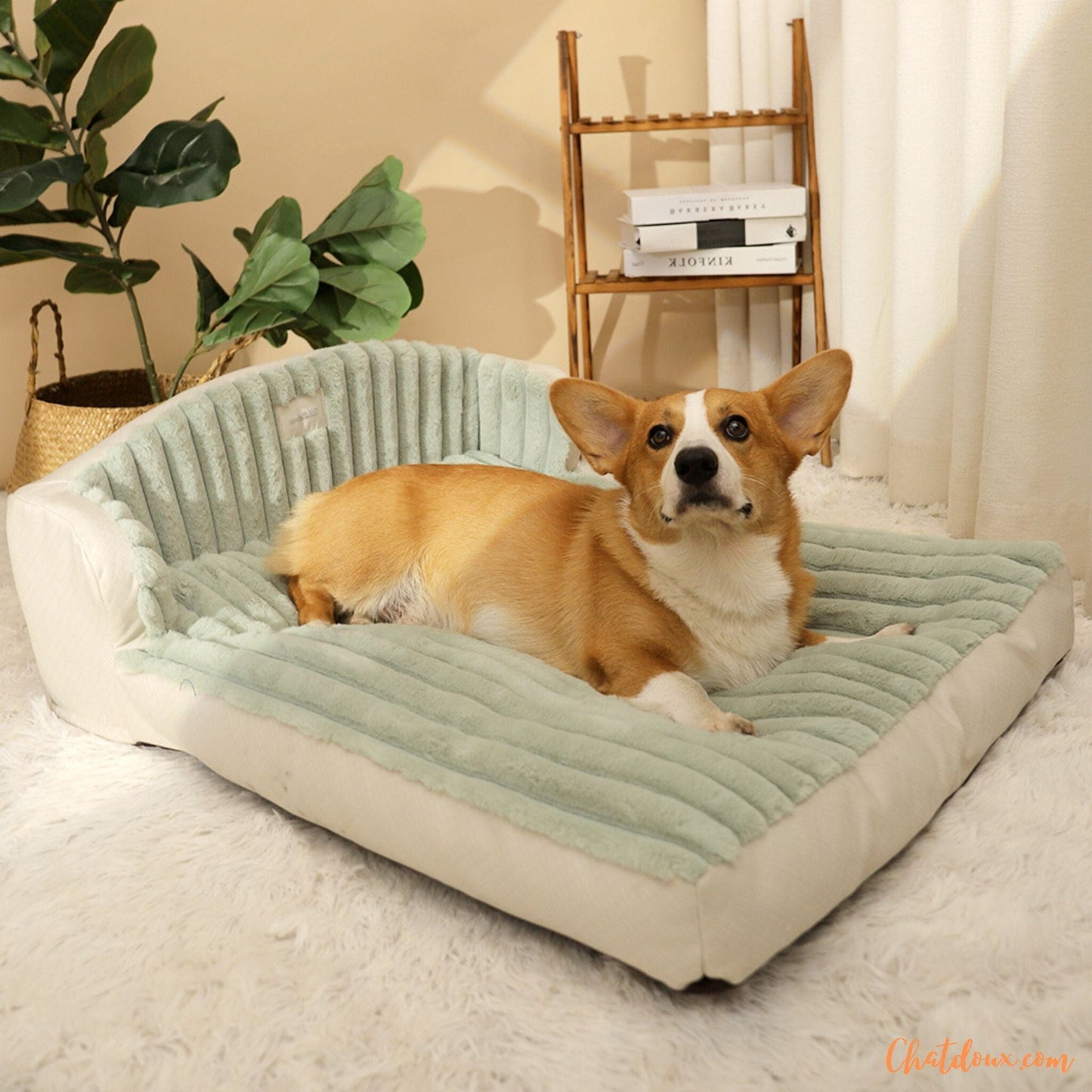 Lit pour chat | Moelit™ chat doux