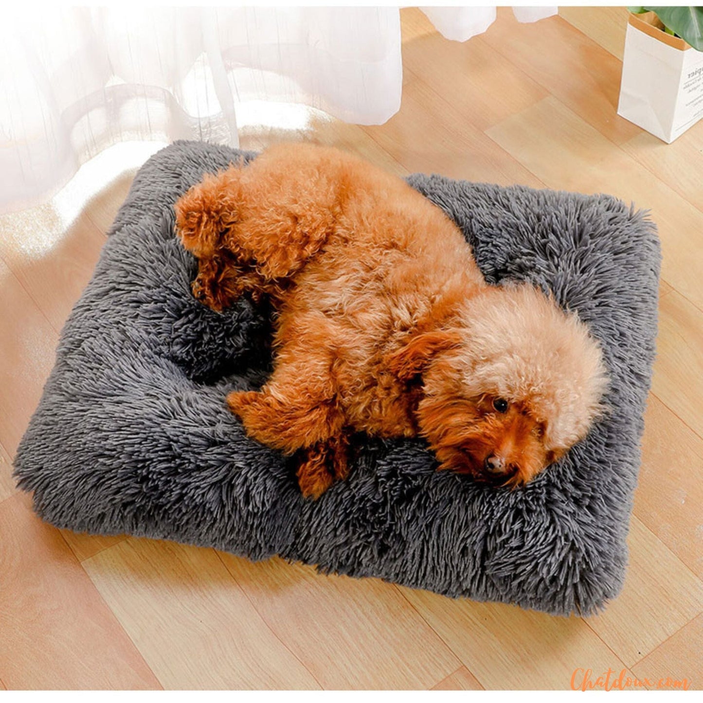 Lit-pour-petit-chien-pinKat