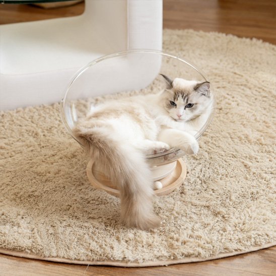 Lit pour chat - panier transparent chat- panier-designe | ConfortPremium chat doux