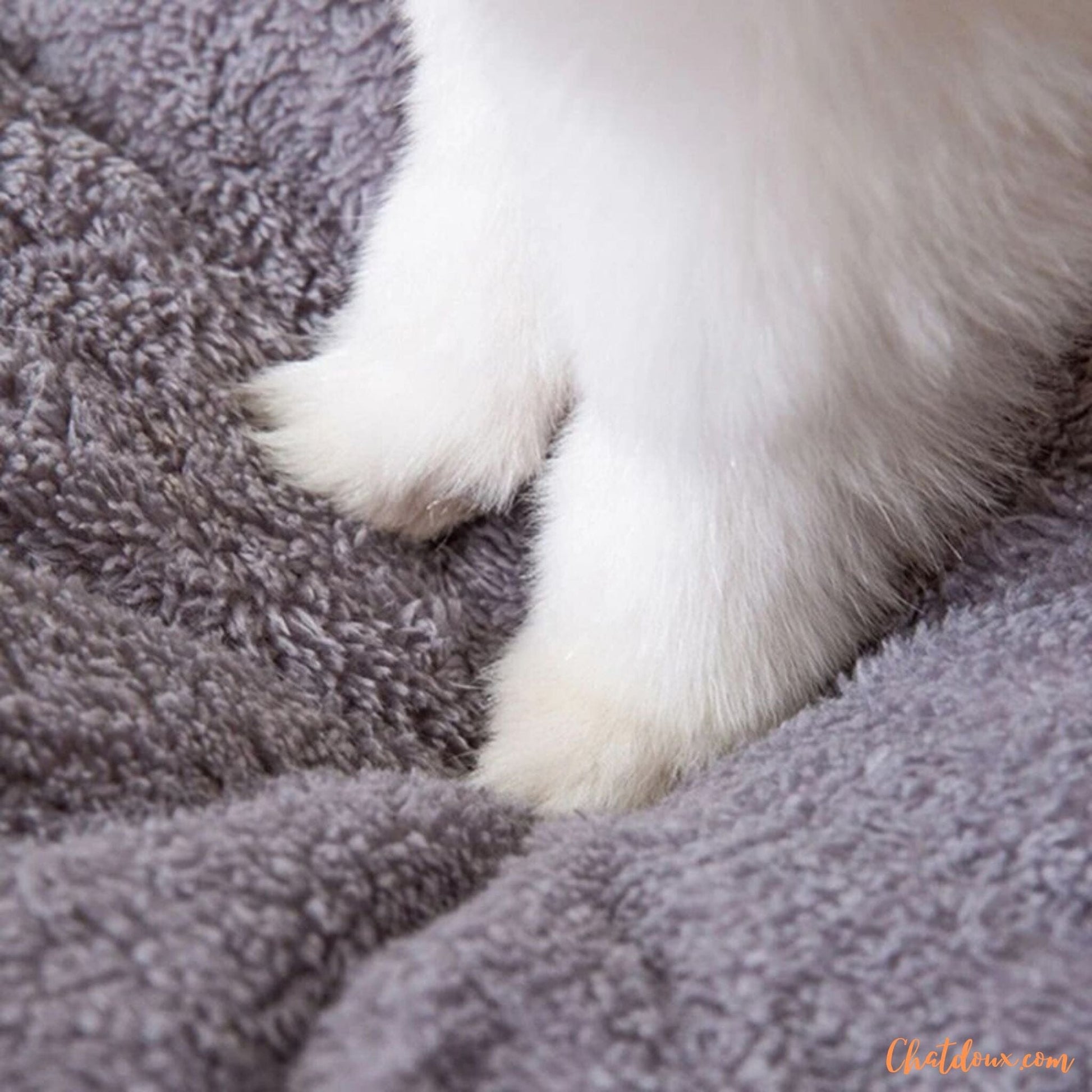 Niche-pour-chat-coussin-douillet