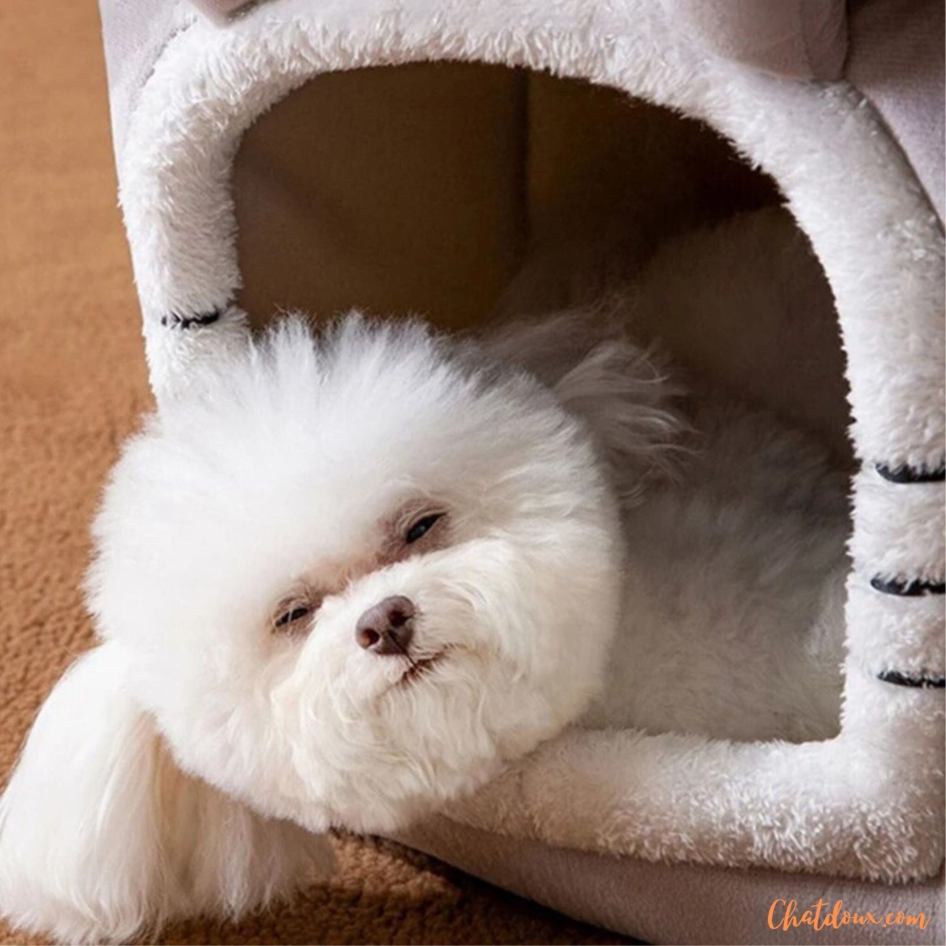 Niche-pour-chat-et-chien-calme