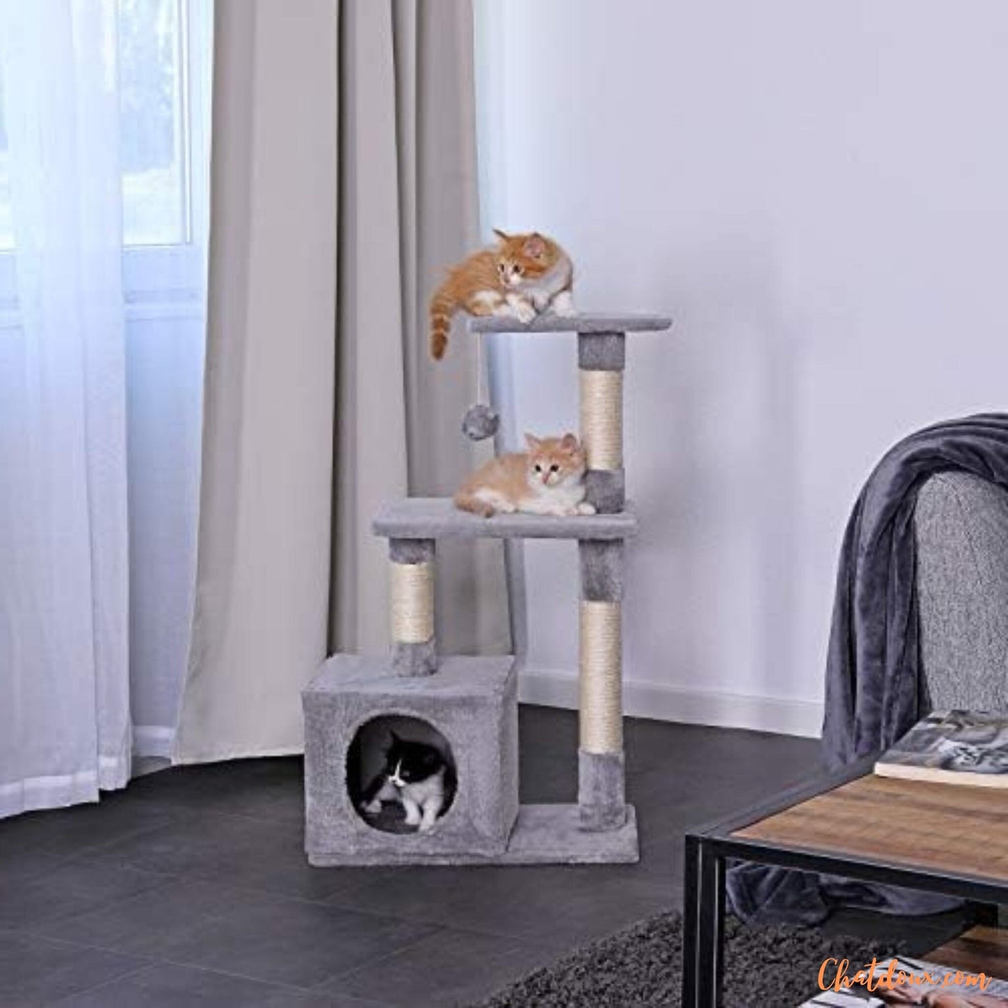 arbre a achat a niveau