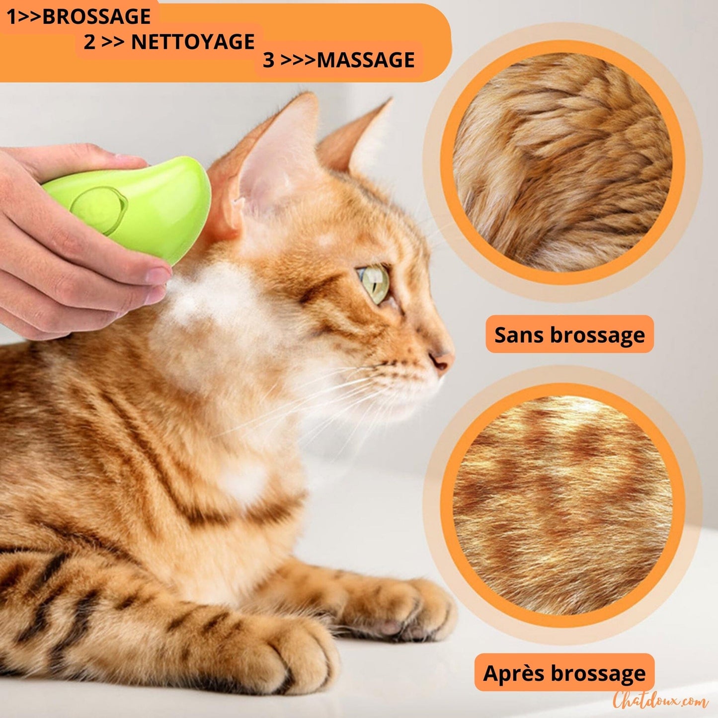 brosse_pour_chat_massage