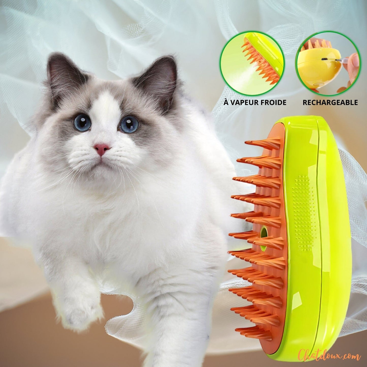 brosse_pour_chat_vapeur