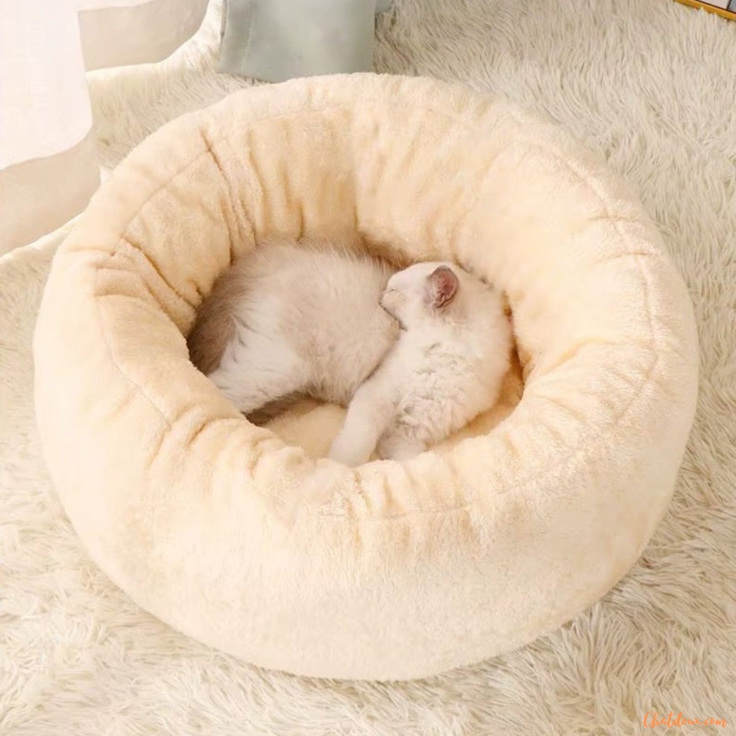 Chat-blanc-dans-un-Coussin-chat-beige-Dorych