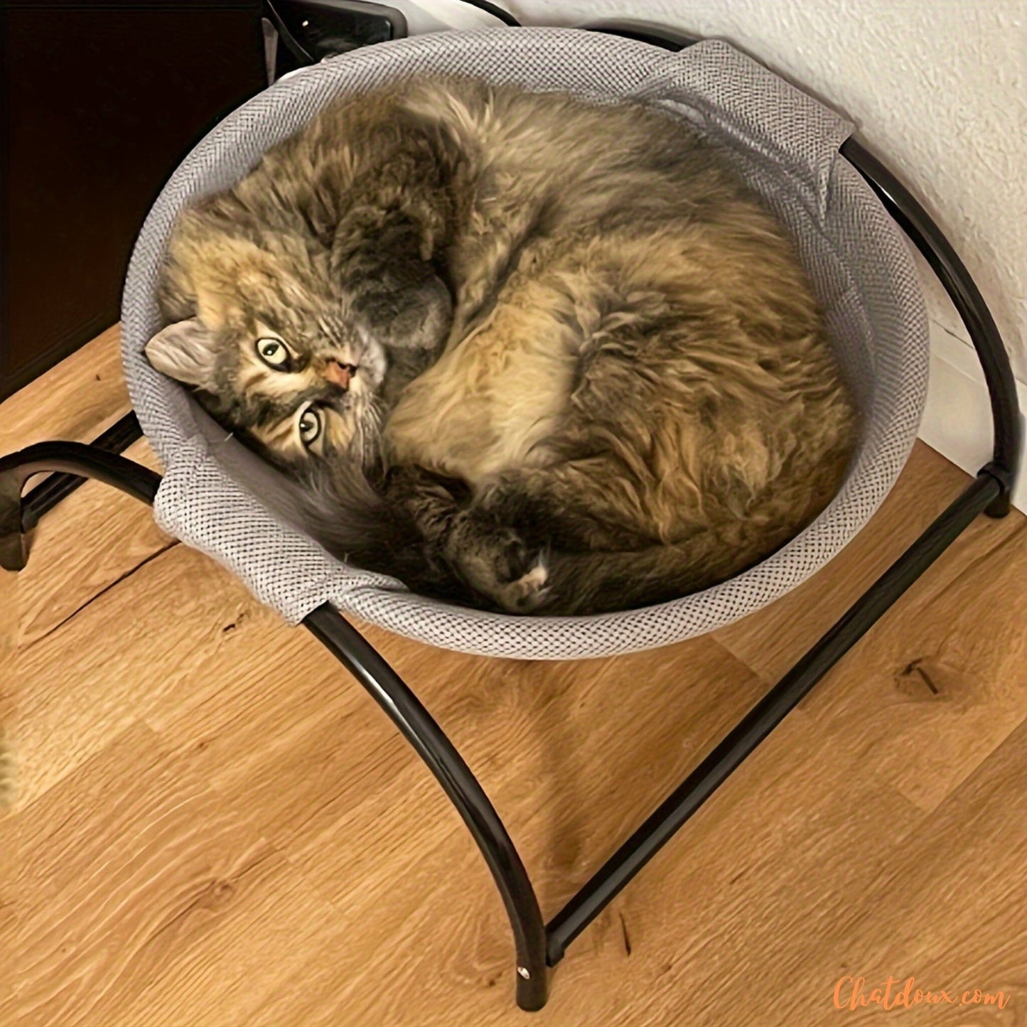 chat-dans-Hamac-pour-chat-Hamdort