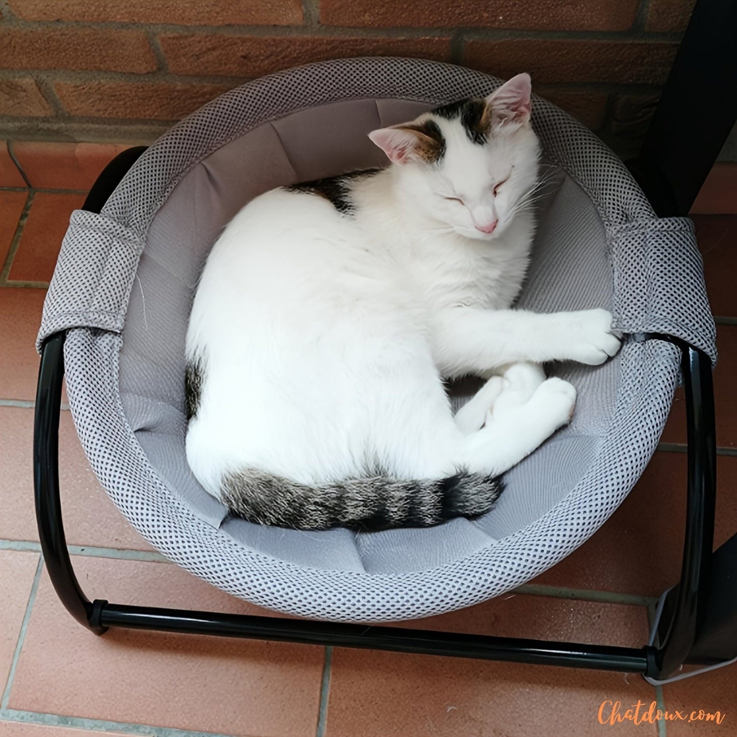 chat-dans-son-Hamac-pour-chat-Hamdort
