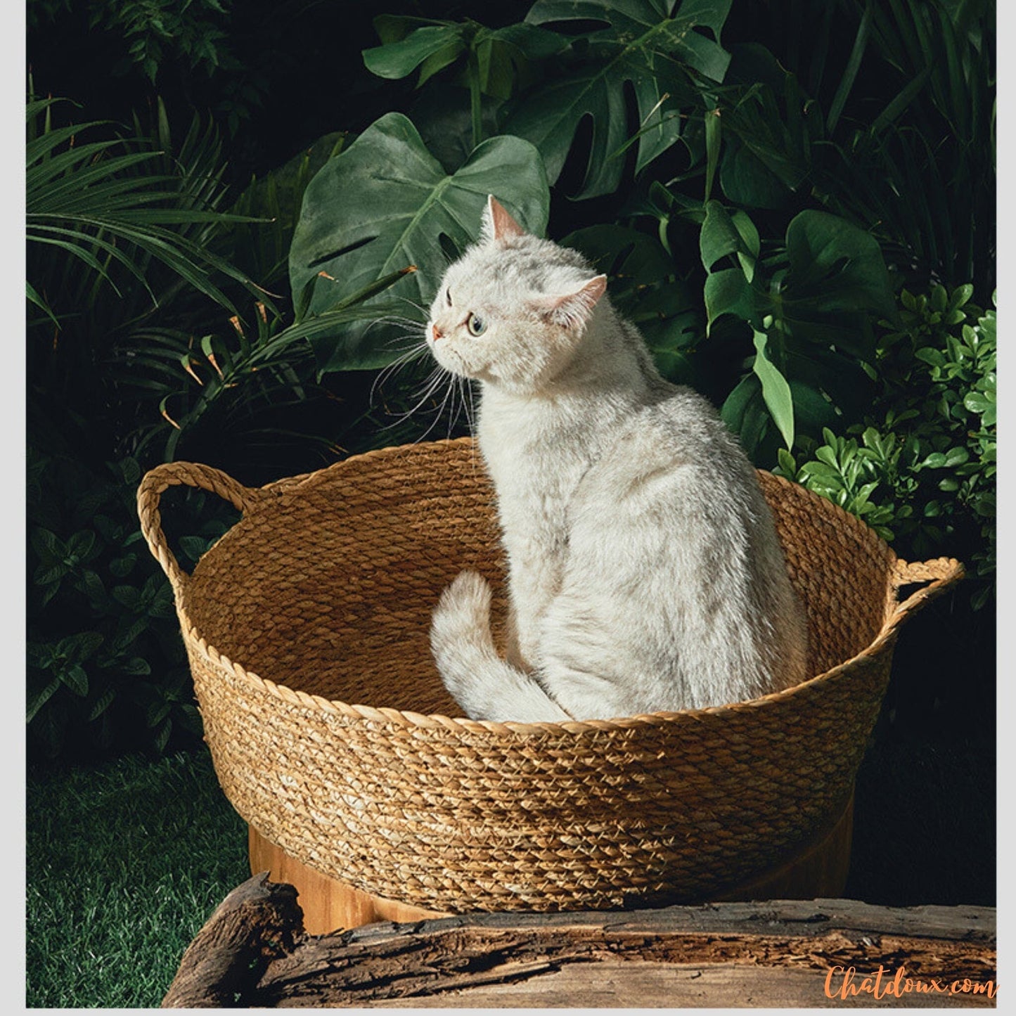 Panier chat osier | PanierNatureâą