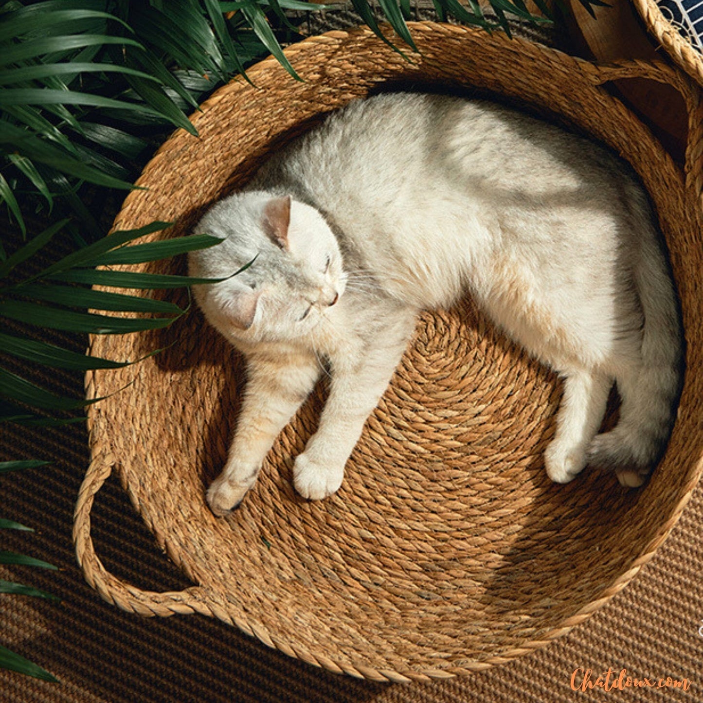Panier chat osier | PanierNatureâą