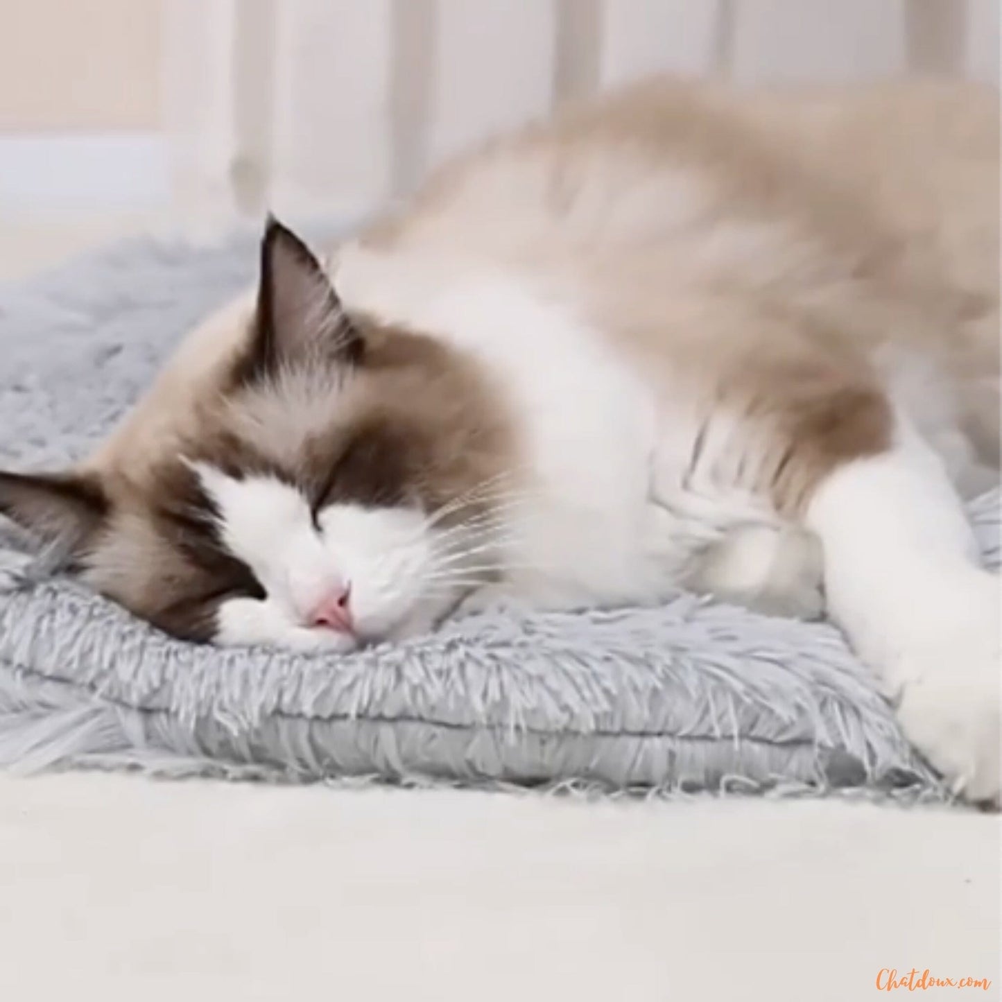 chat-qui-dort-sur-coussin-chat-gris-FineDouceure