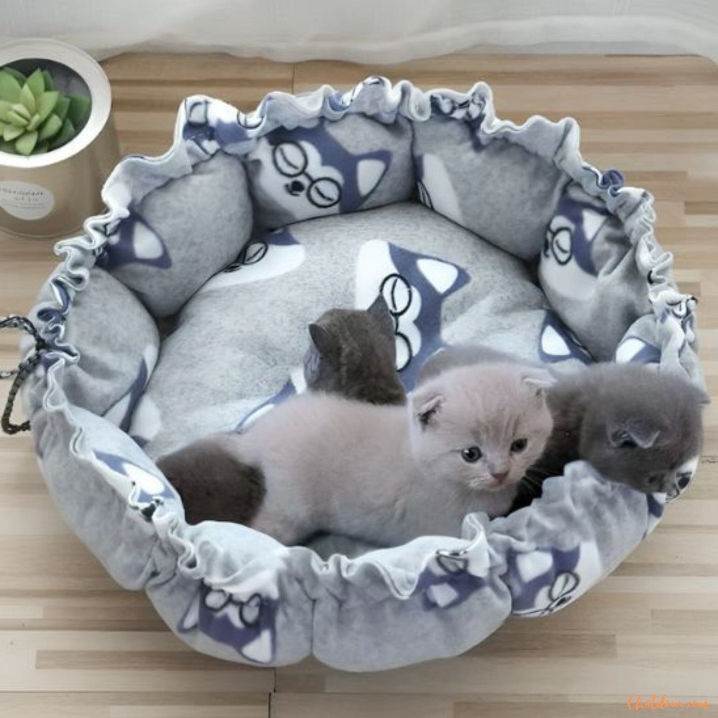 Coussin chat | Catych™ chat doux
