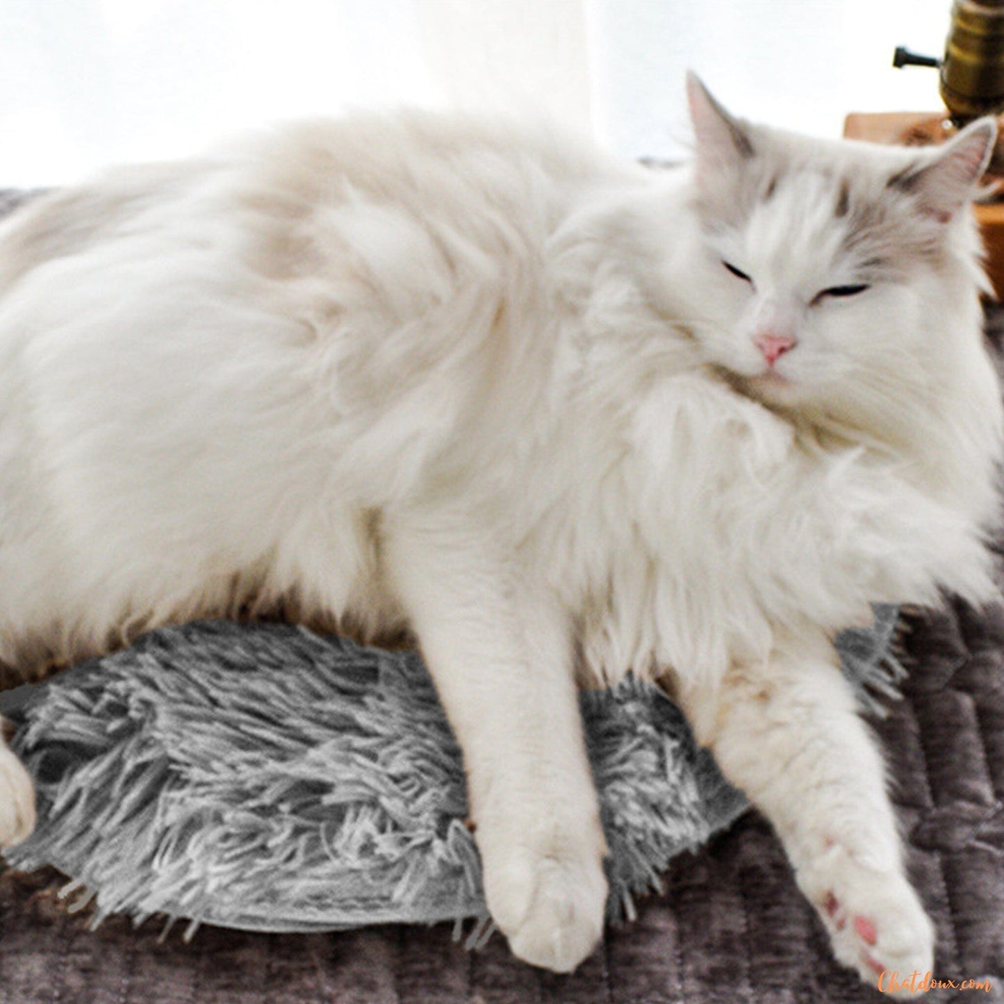 coussin-chat-gris-FineDouceure