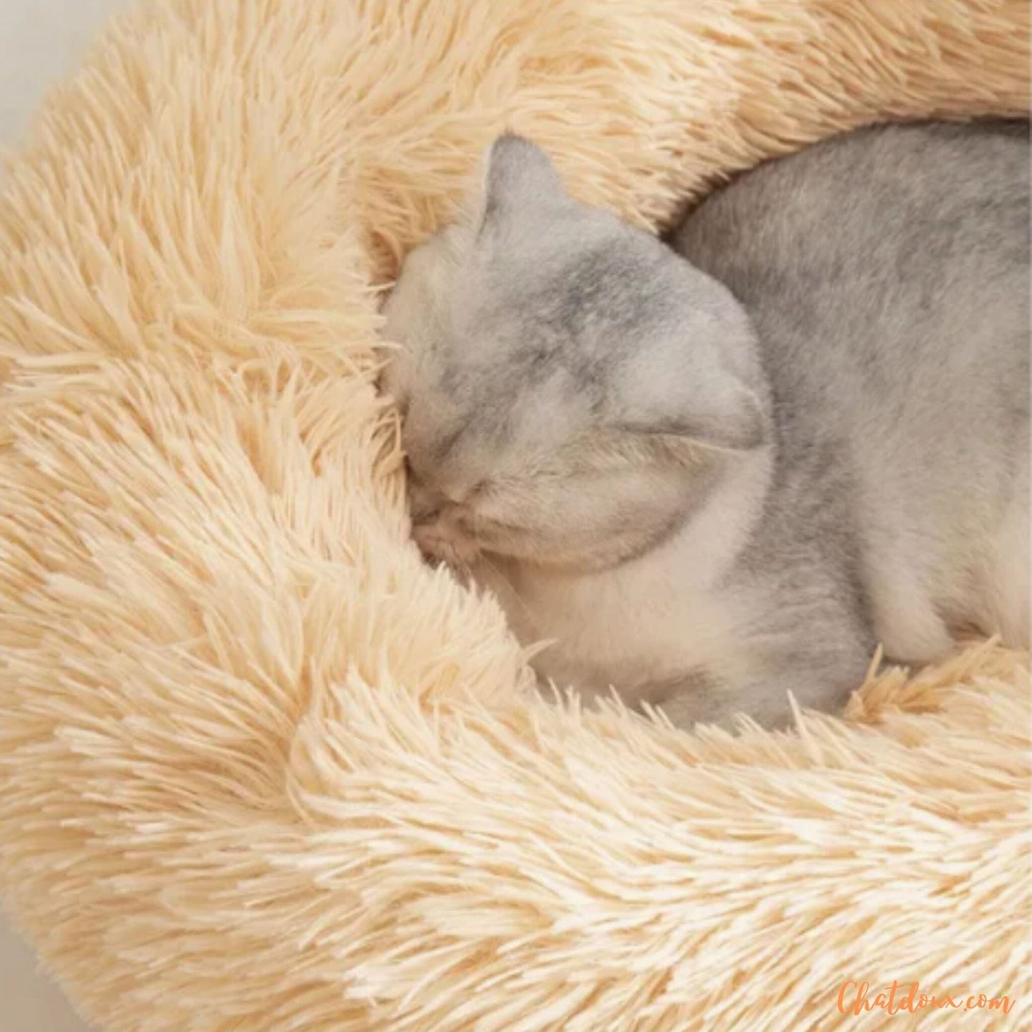 coussin-pour-chat-beige-nid-douillet