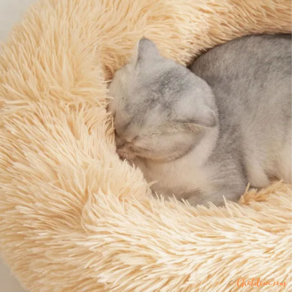 Coussin Doux En Peluche Chat Géant 70 Cm - Oreiller Câlin Pour Enfants Et Adultes, Blanc/noir/beige, Lavable Machine
