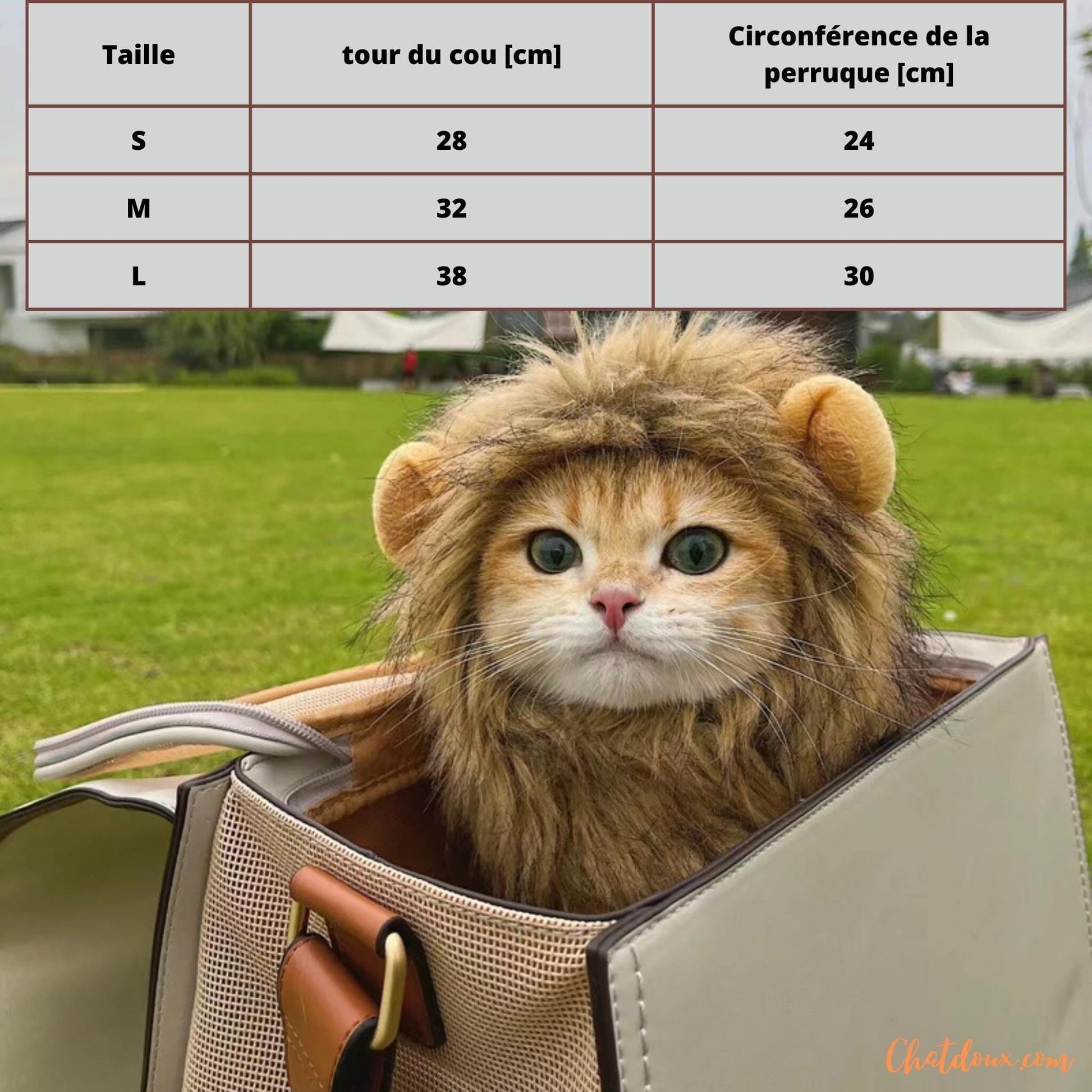 DEGUISEMENT CHATS | DEGUISEMENT HALLOWEEN CHAT | PERUQUE HALLOWEEN | ChatLion™ chat doux
