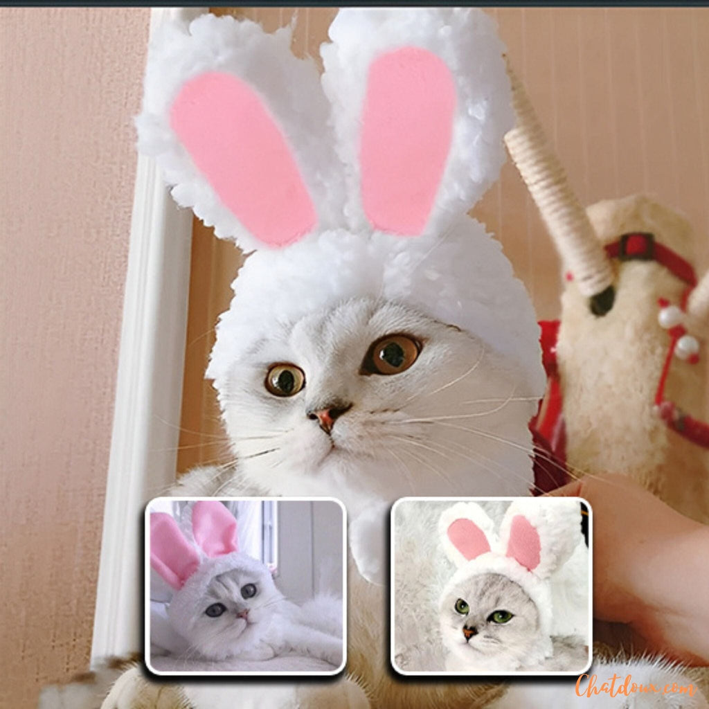 Bonnet Enfant Unisexe Chat/lapin - Gris - Hiver - Taille Unique
