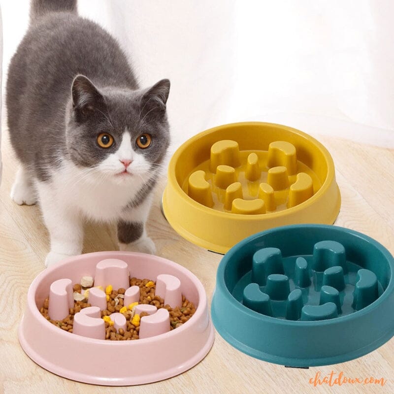gamelle chat rose vert et jaune