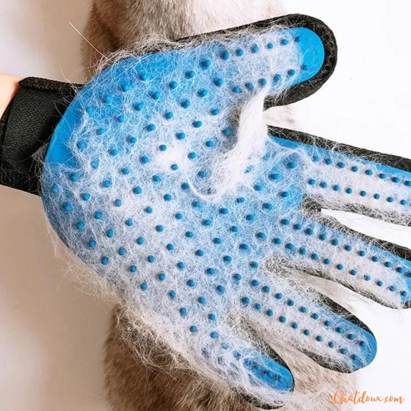 toilettage chat | Gant de toilettage pour chats | Brosse Ă dĂ©mĂȘler les poils de chat | NomProdâą chat doux