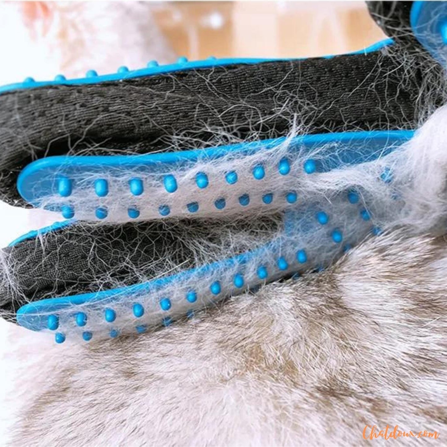 toilettage chat | Gant de toilettage pour chats | Brosse Ă dĂ©mĂȘler les poils de chat | NomProdâą chat doux