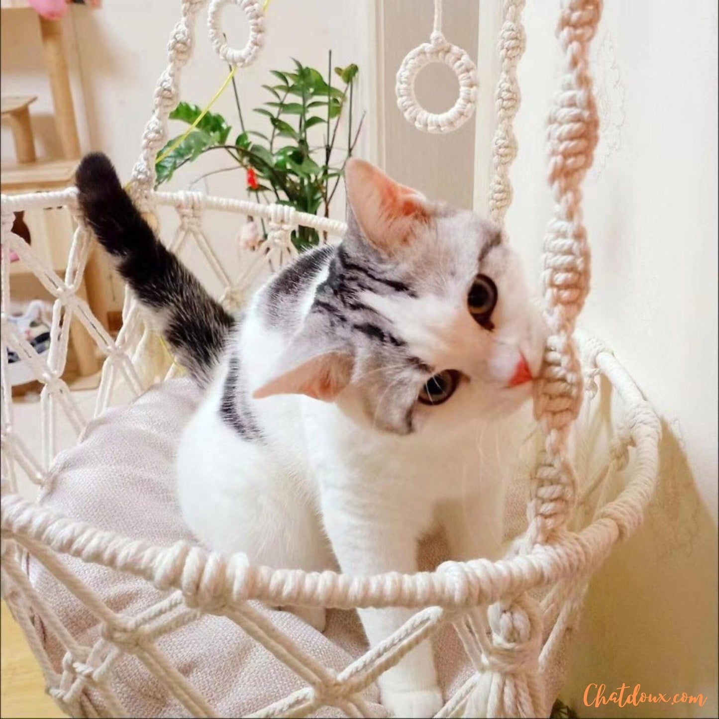 hamac-pour-chat-en-corde-suspendouce