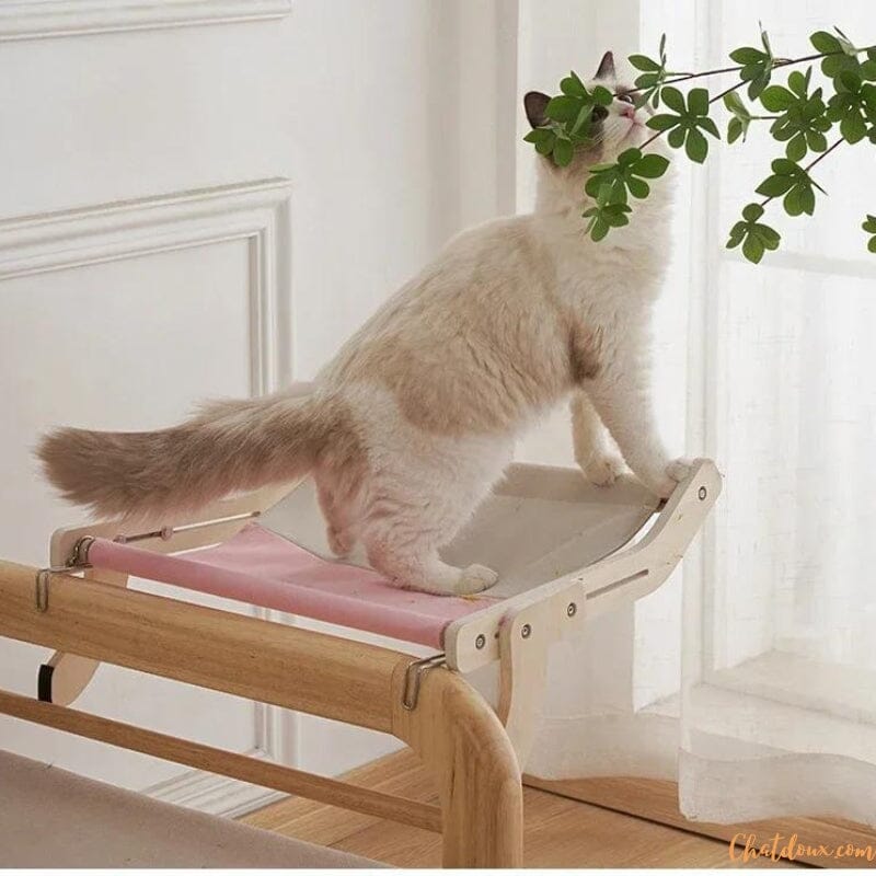 hamac_chat-en-bois
