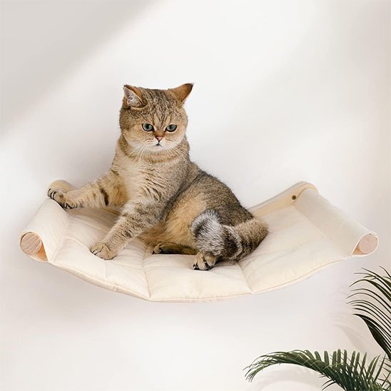 hamac chat mural | Cosy Sunshine chat doux
