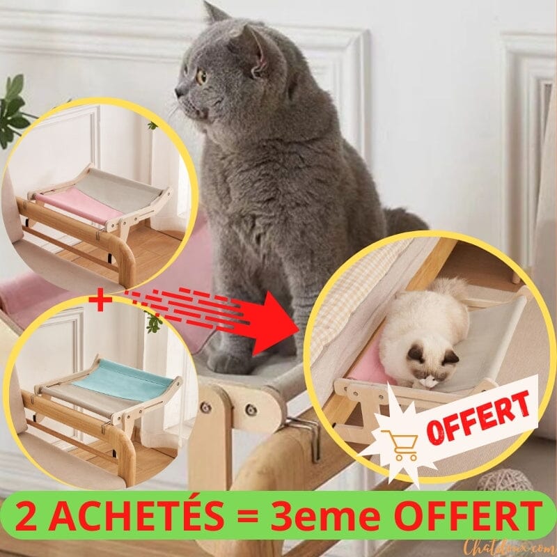 Hamac pour chat | HamCat™ chat doux