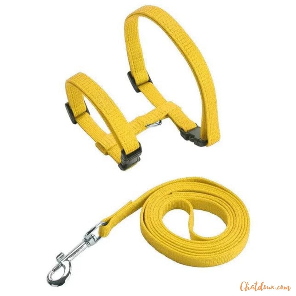 HARNAIS-POUR-CHAT-JAUNE