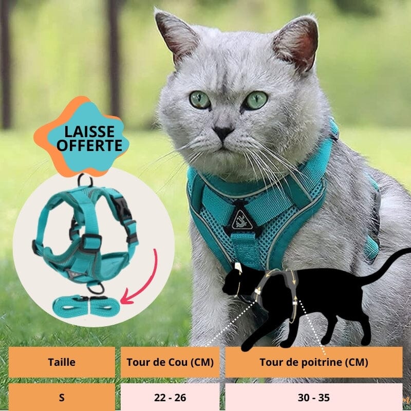 Harnais chat anti fugue Avec la laisse OFFERTE | CatOut™ chat doux