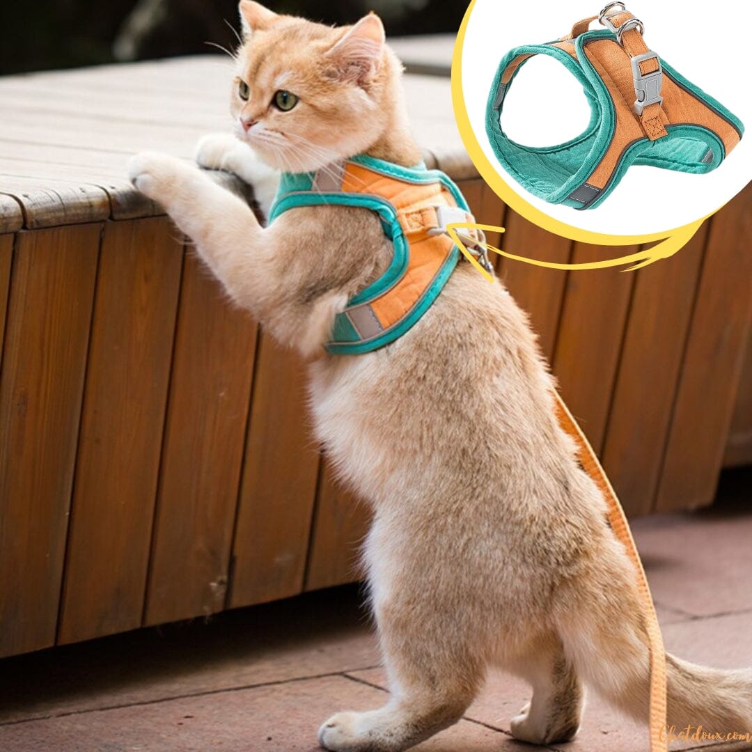 HARNAIS CHAT - HARNAIS CHAT VERTE ET ORANGE | FunyWalk™ chat doux