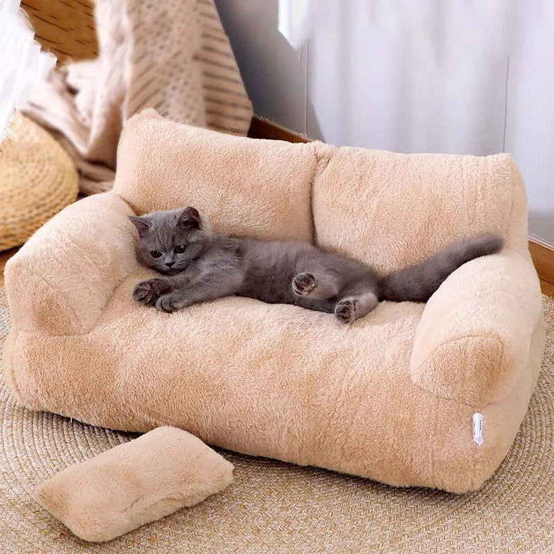 lit-pout-chat-canape