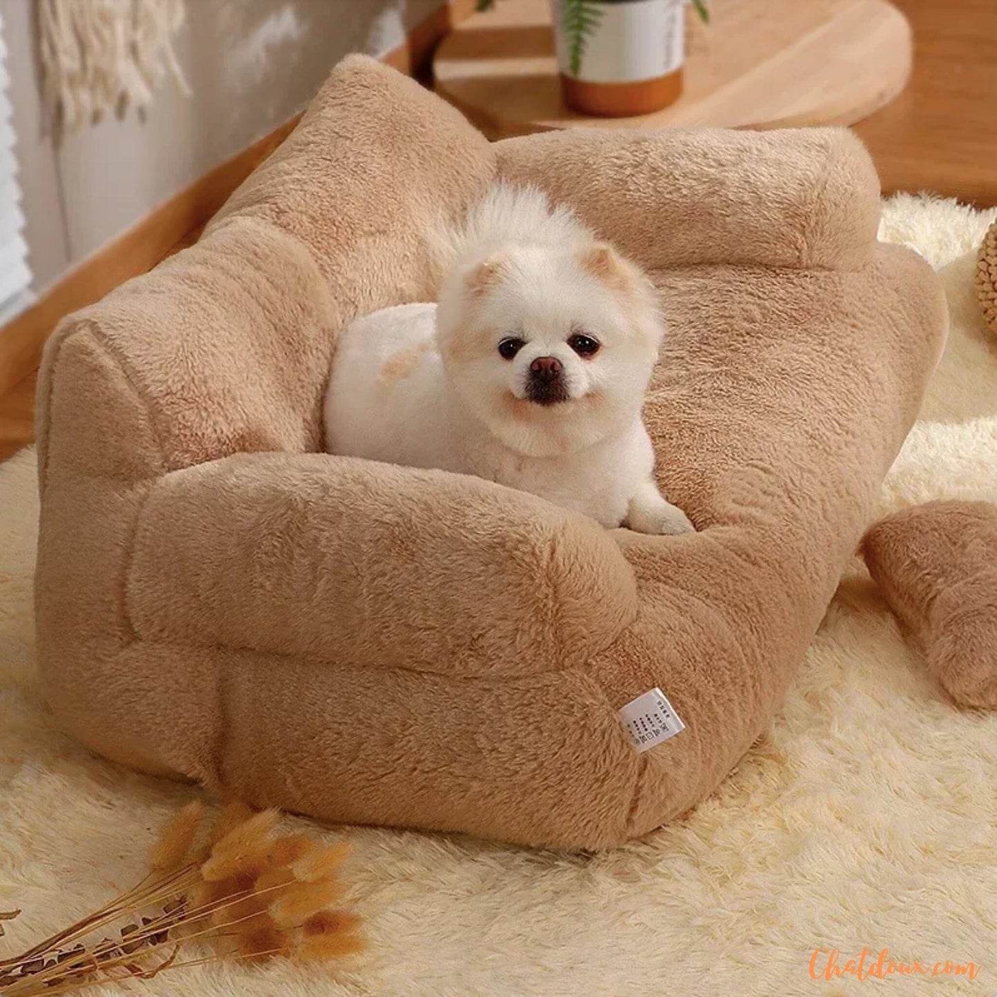 lit-pout-chat-chien