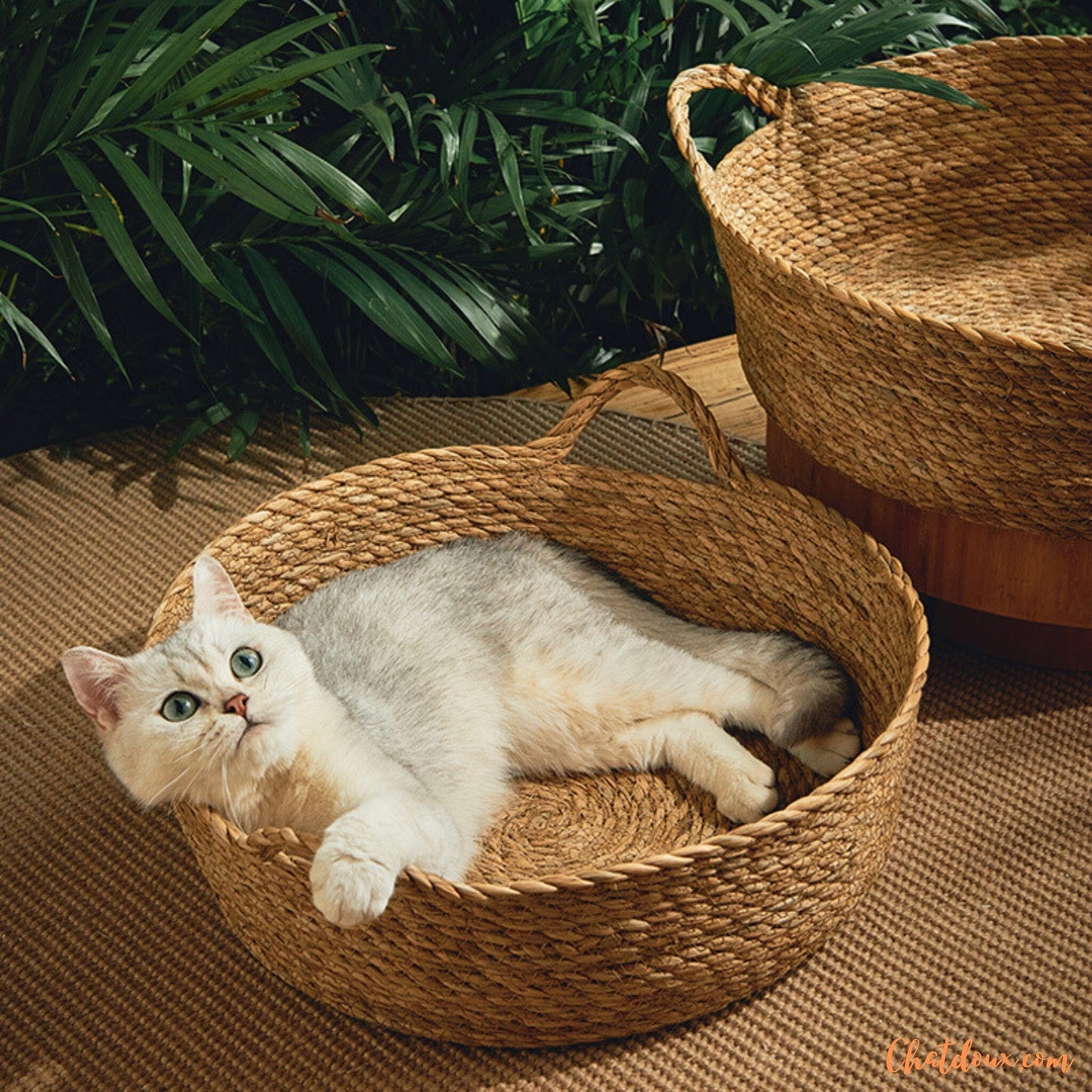Panier chat osier | PanierNatureâą